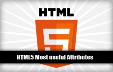 HTML 5 атрибуты для работы с полями формы.