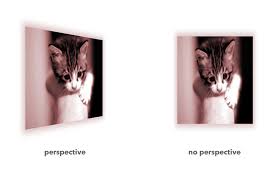 Свойство perspective в CSS
