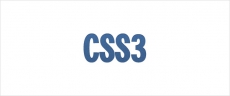 CSS3 Псевдоклассы: in-range, out-of-range, indeterminate.
