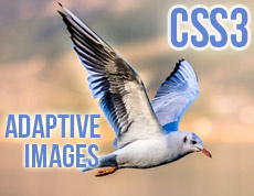 Адаптивные картинки в CSS3