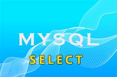 Оператор SELECT языка запросов SQL