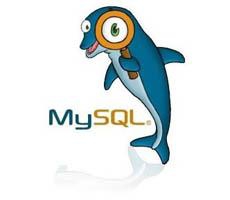 Типы полей в MySQL
