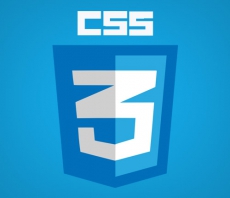 Псевдокласс :not в CSS3.