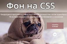 Как сделать фон в CSS