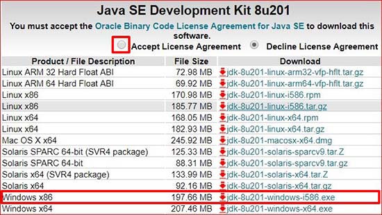 Введение и среда разработки для Java.