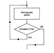 Циклы в JavaScript