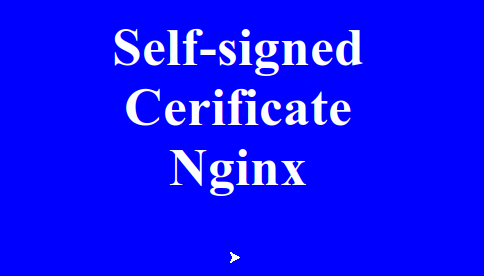 Генерация самоподписанного сертификата и его настройка в Nginx