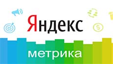 Установка и настройка яндекс метрики на WordPress